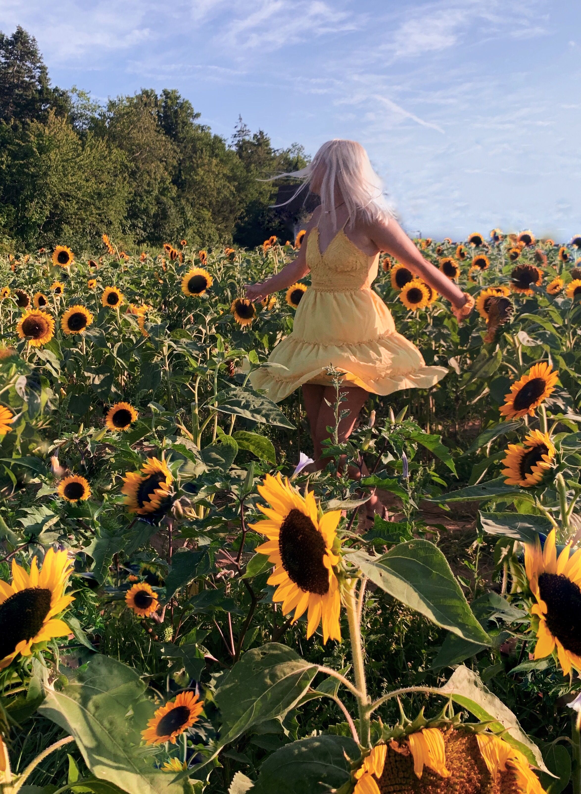 A woman with platinum blonde hair in a yellow dress twirls joyfully among tall sunflowers under a bright blue sky.