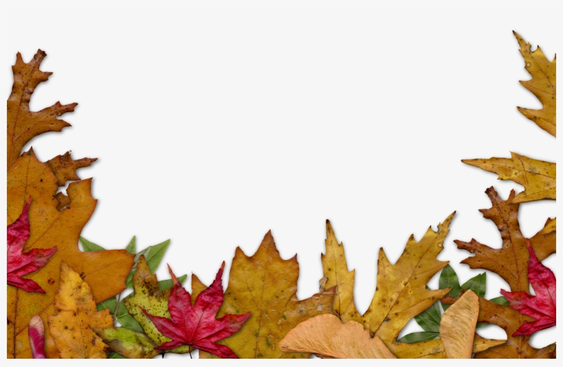 Autumn leaf border with red, yellow, and green maple and oak leaves on white background.