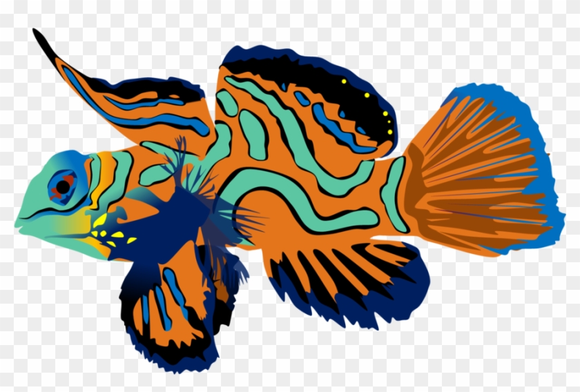 Vibrant illustrated mandarinfish with orange, teal, blue, and black swirling patterns on transparent background.