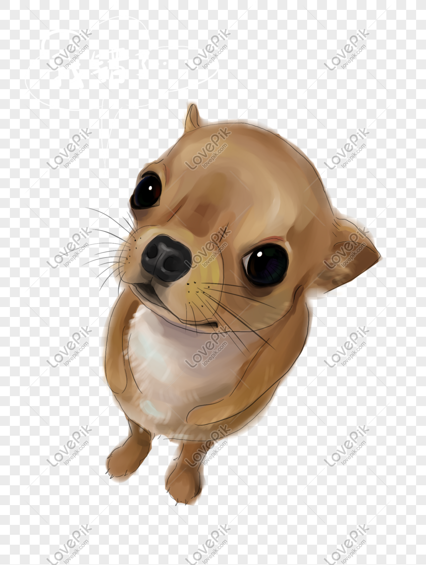 Cute illustrated Chihuahua with large eyes and tan fur, looking upward on transparent background.