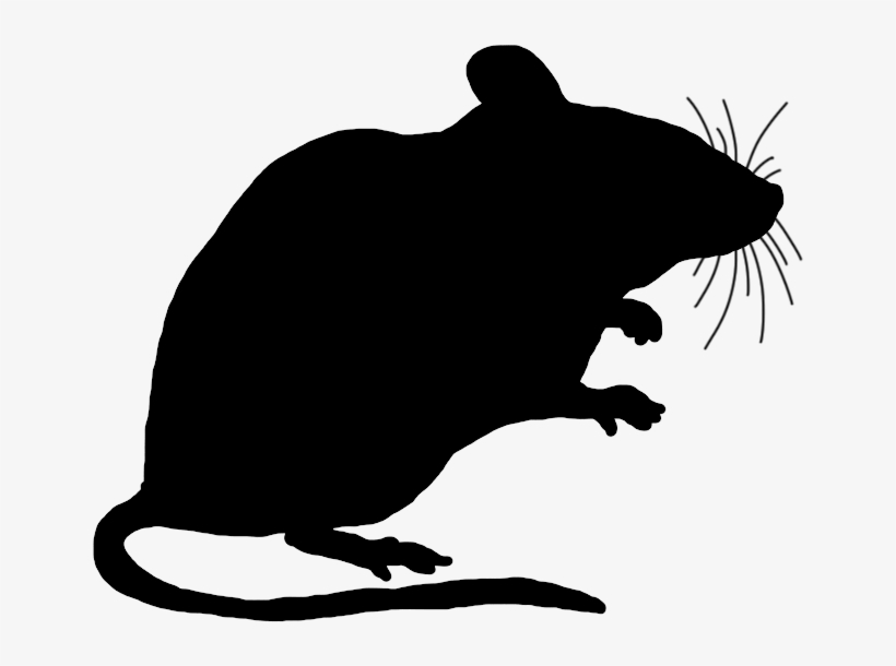 Black silhouette of a mouse in profile, showing whiskers, ears, paws, and long tail against white background.