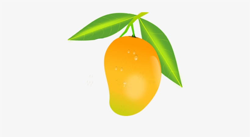 Fresh Mango Illustration - Vibrant Fruit Clipart for Food & Health Content