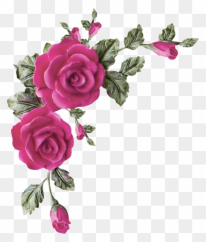 Vibrant pink roses with green leaves in a floral corner arrangement on transparent background.