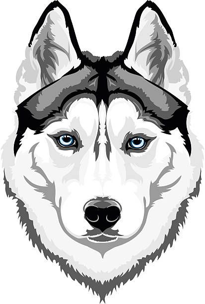 Stylized grayscale illustration of a Siberian Husky’s face with piercing blue eyes and symmetrical markings.