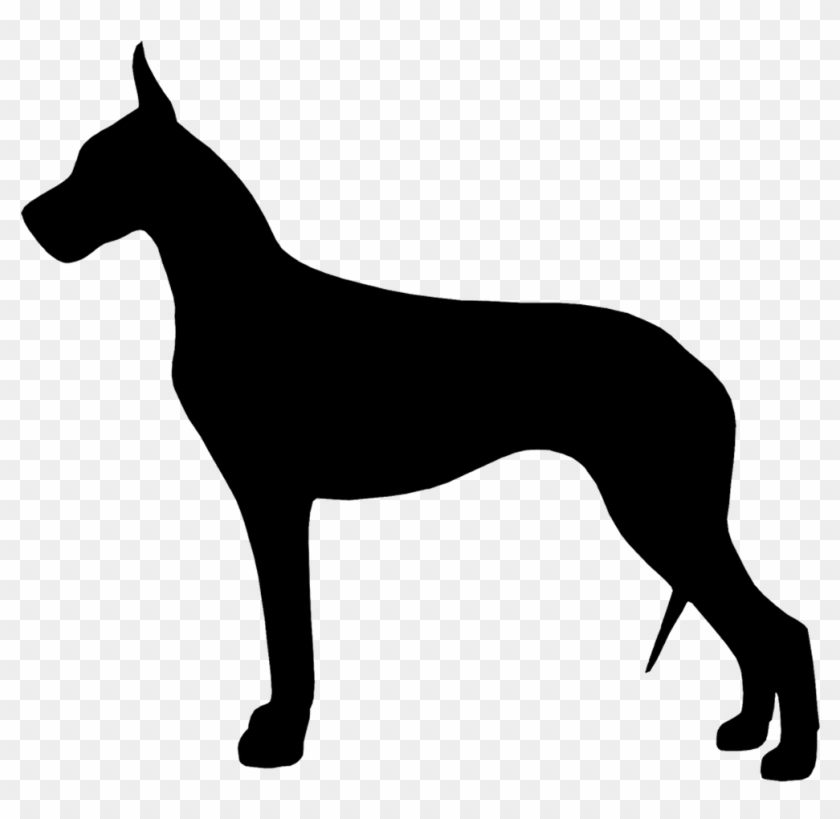 Black silhouette of a standing Great Dane in profile on transparent background.