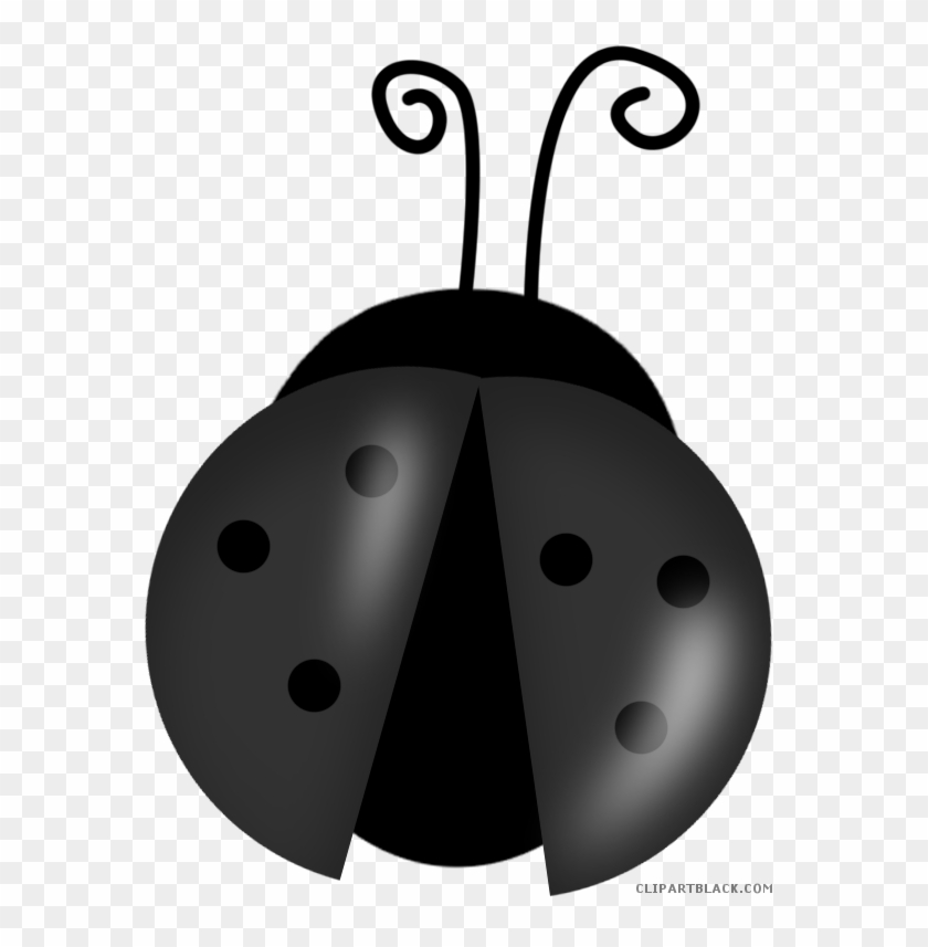 Black and White Ladybug Without Spots Clip Art Black and White Clip