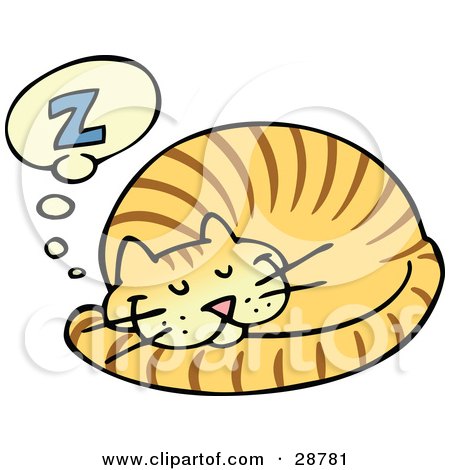 A cartoon orange tabby cat curled up asleep with a "Z" in a thought bubble above its head.