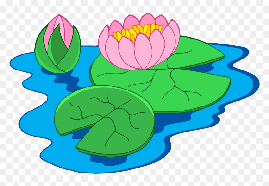Pink water lily in bloom with green lily pads floating on blue water, plus a closed bud.