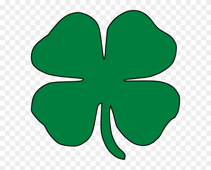 Four-Leaf Clover Image - Symbol of Luck & Irish Tradition