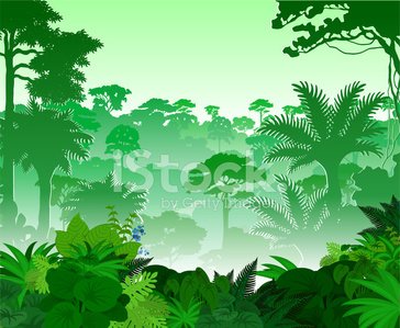 Jungle Scene Vector Art, Icons, and Graphics for Free Download