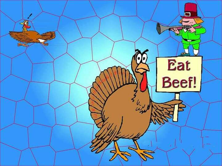 A cartoon turkey holds a sign saying "Eat Beef!" while a leprechaun with a horn and a fleeing chicken look on against a blue hexagonal background.