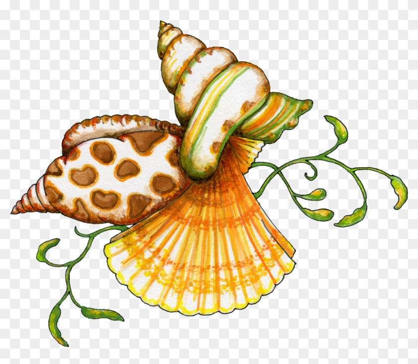 Watercolor illustration of three seashells-spiral, spotted, and fan-shaped-entwined with green seaweed vines on transparent background.