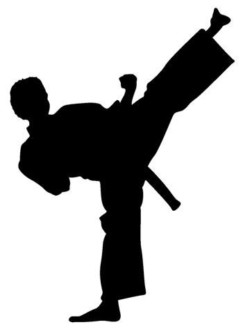 Martial Arts High Kick Silhouette - Training & Technique Visual