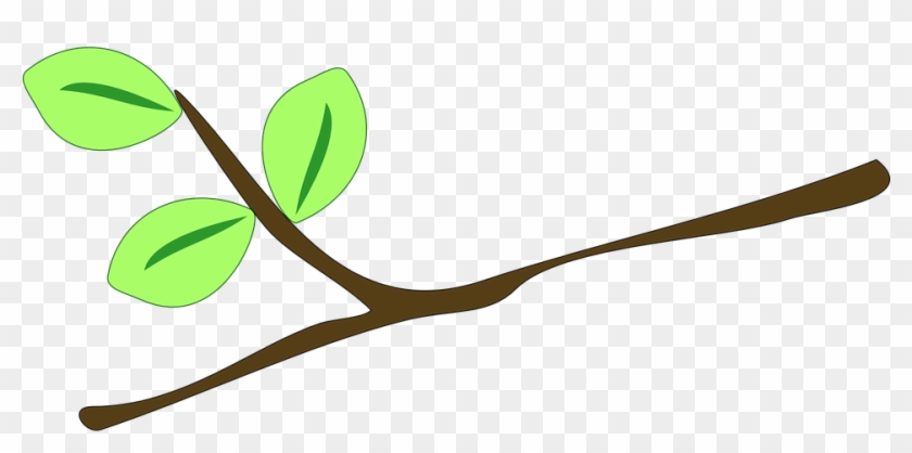 Brown branch with three light green leaves on transparent background.