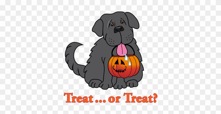 A gray dog holding a jack-o'-lantern treat bucket with tongue out, under text "Treat ... or Treat?"