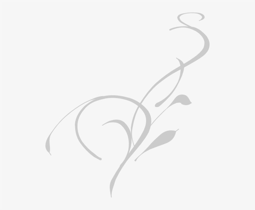 Decorative Floral Vine Illustration - Graceful Gray Design Element