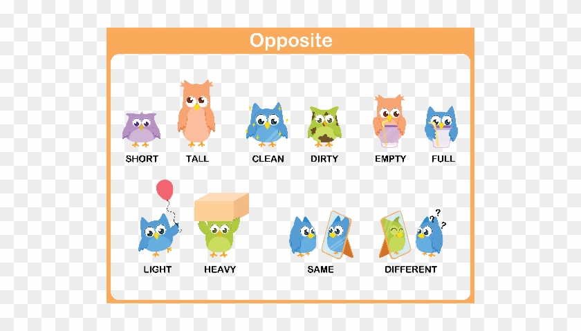 Opposite Words for Kids - Visual Learning Chart with Owls