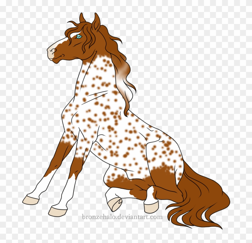 Illustrated Appaloosa horse with brown spots, blue eye, and flowing mane, sitting in profile on transparent background.