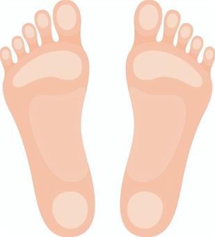 Illustration of two human feet showing soles, arches, and toes in soft peach tones.