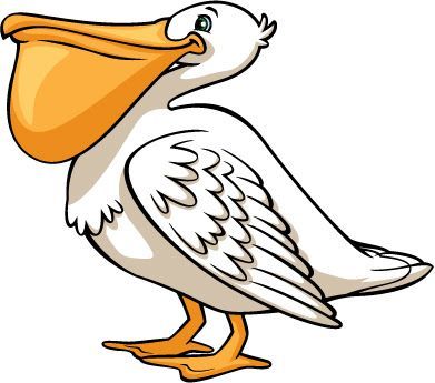 Cartoon pelican with large orange beak pouch, white feathers, and orange feet standing upright.