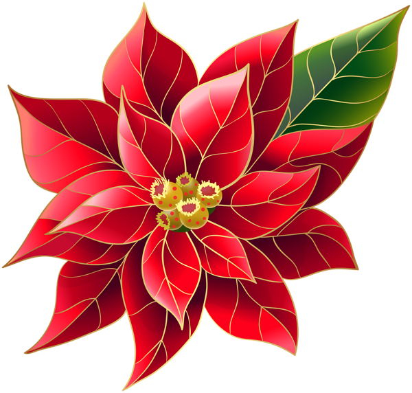 Poinsettia Christmas Clip Art Christmas Flowers 600*533 - Clip Art Library