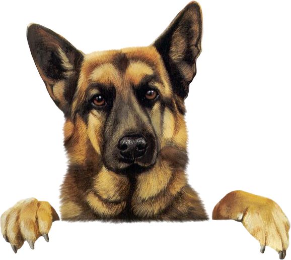 free german shepherd clipart