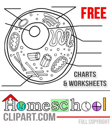 12,200+ Homeschooling Illustrations, Royalty-Free Vector Graphics ...