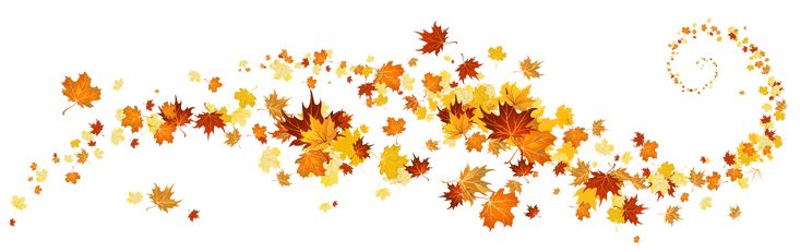 Swirling autumn leaves in warm orange, yellow, and red tones against a white background.