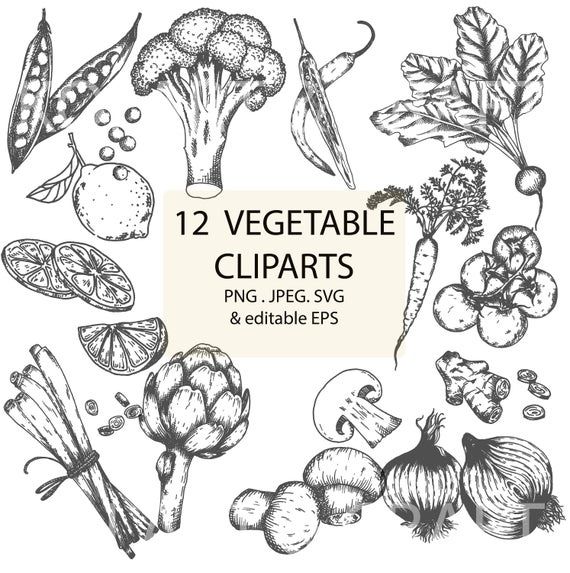 Hand-drawn black-and-white vegetable clipart set including broccoli, carrots, onions, mushrooms, peas, lemon, artichoke, and ginger.