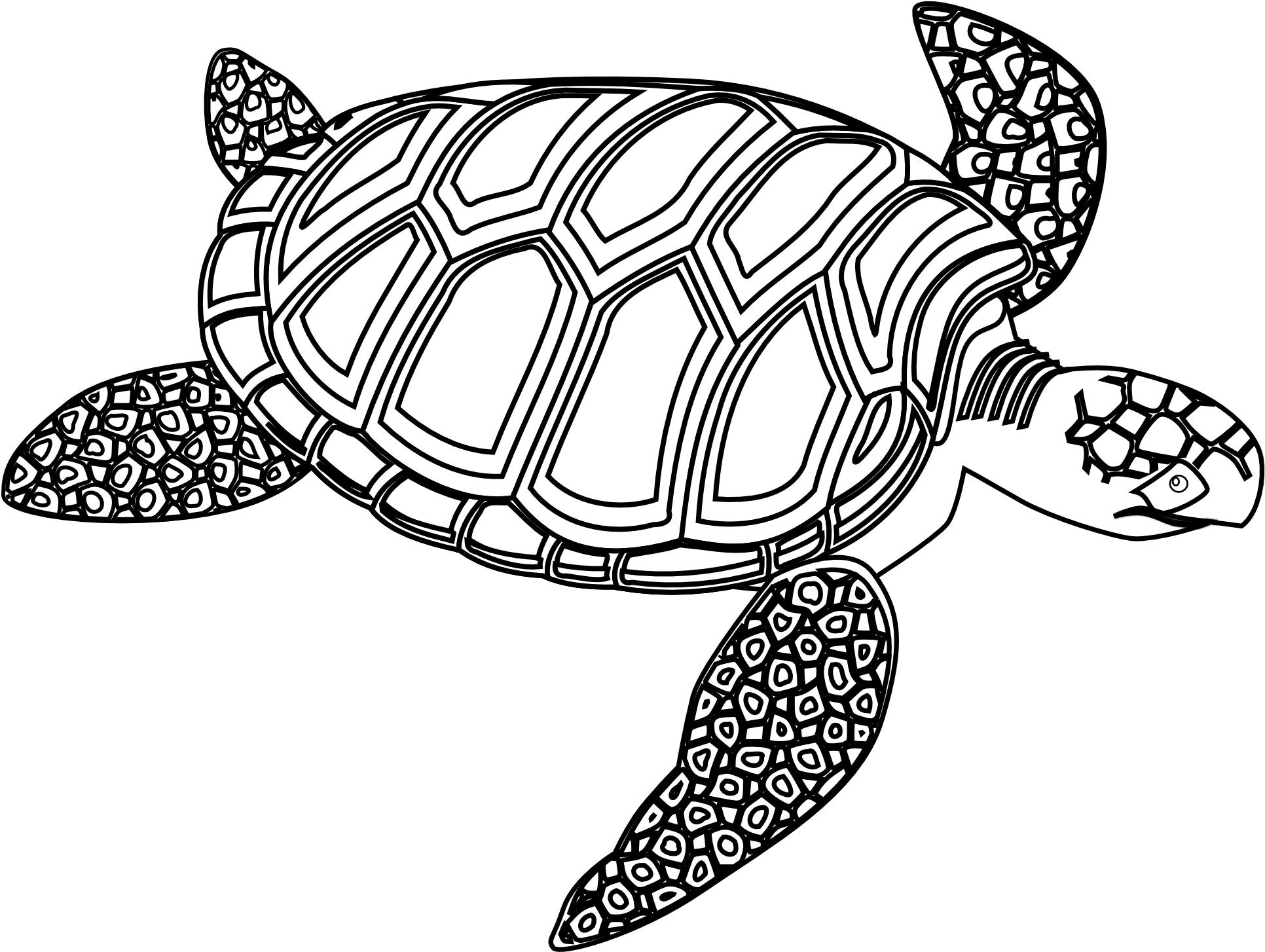 Sea Turtle Coloring Page - Free Printable Line Art Illustration