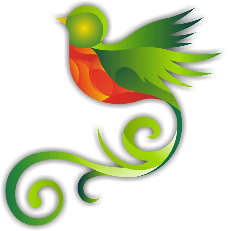 Stylized green and orange bird in flight with swirling tail, abstract vector illustration.