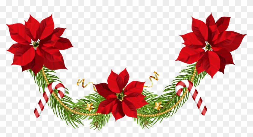 Festive Christmas garland with red poinsettias, pine branches, candy canes, and gold ribbon on transparent background.