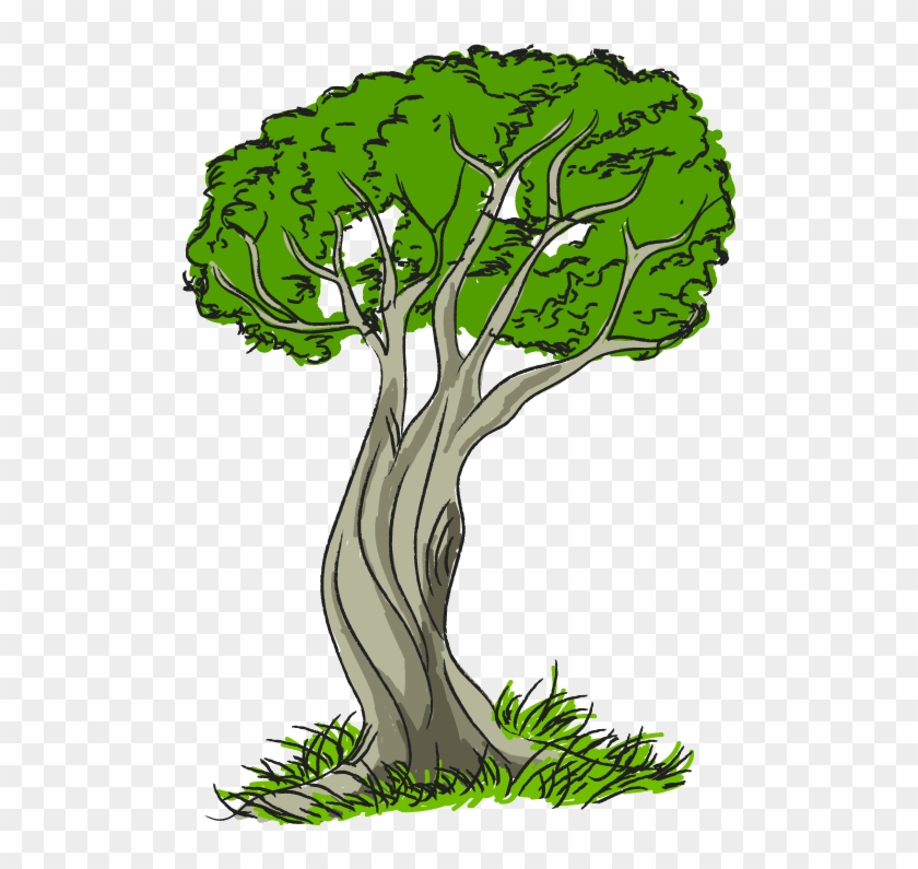 Hand-drawn green leafy tree with twisted trunk and grass base on transparent background.