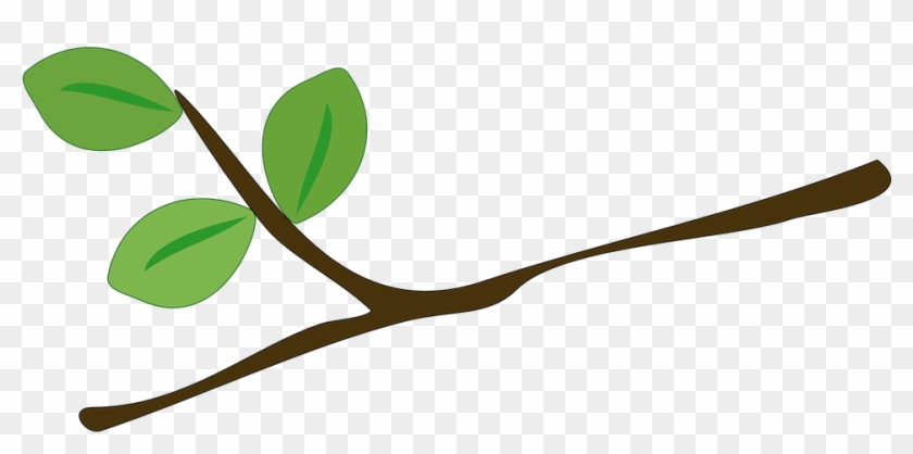 A simple illustration of a brown branch with three green leaves on a transparent background.