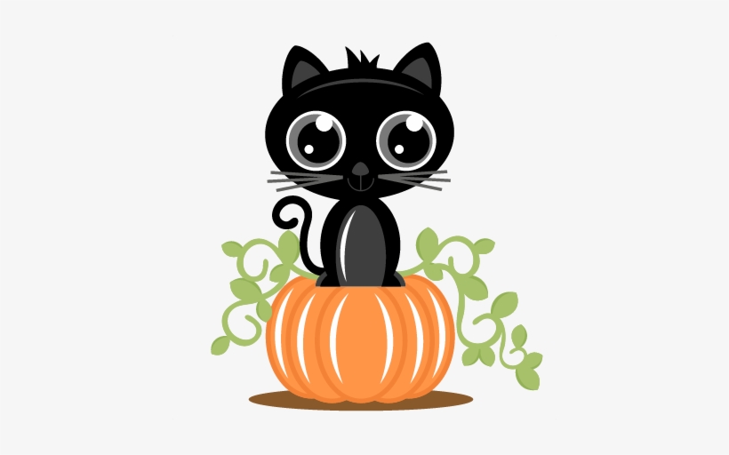 Cute black kitten with big eyes sitting atop an orange pumpkin surrounded by green vines.