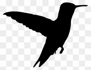 Silhouette of a hummingbird in mid-flight with wings extended and long beak visible.