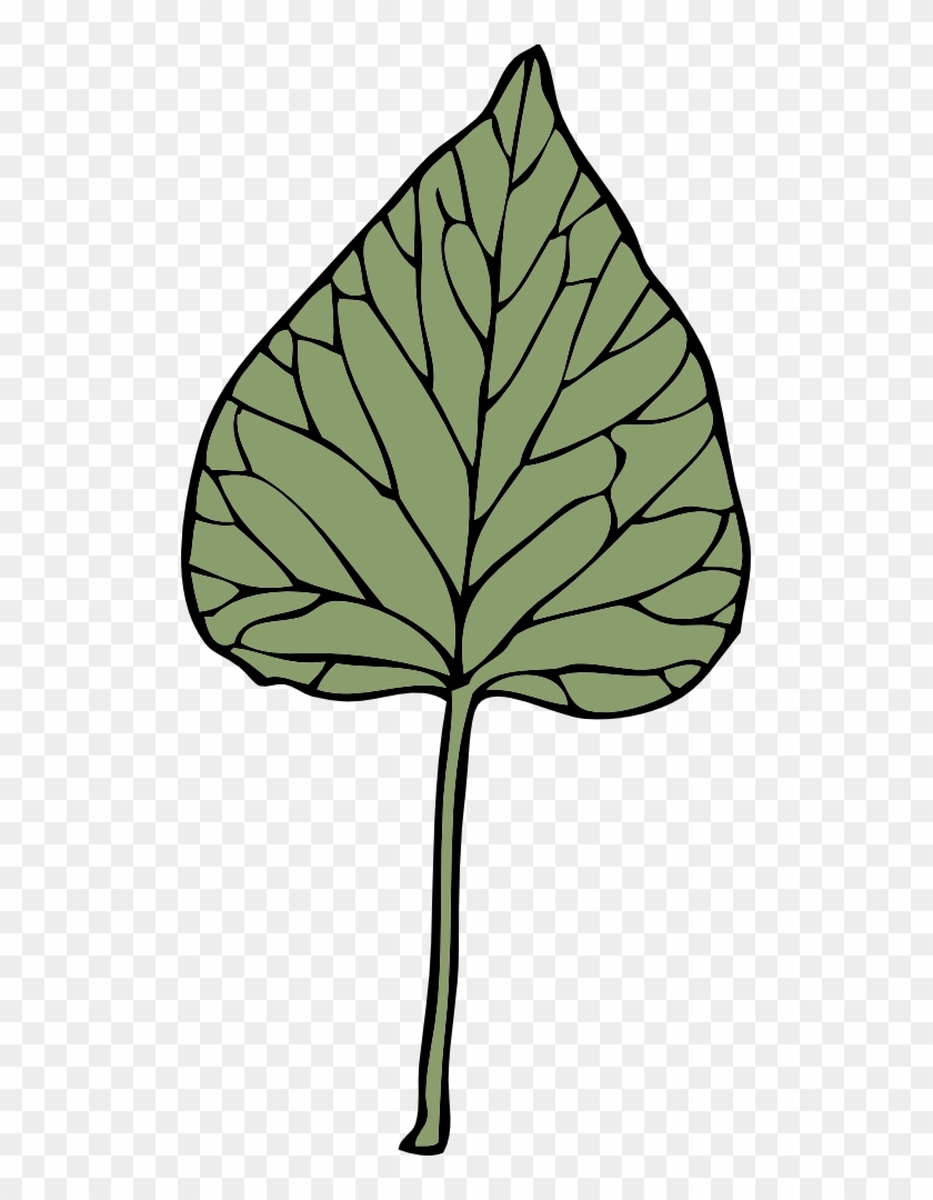 Stylized green leaf with detailed vein pattern and black outline on transparent background.