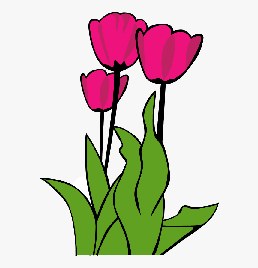 Three vibrant pink tulips with green leaves, stylized cartoon illustration on white background.