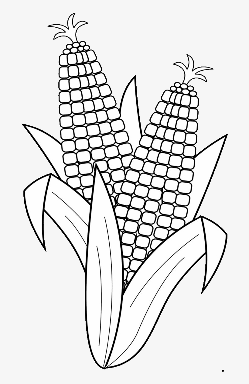 Black-and-white line drawing of two corn cobs with husks and silks, ready for coloring.