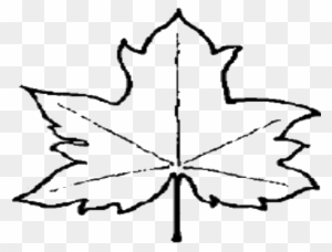 Vector black and white kawaii maple tree leaf illustration