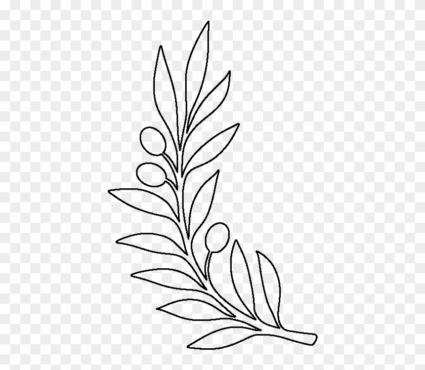 olive-branch-clip-art-library