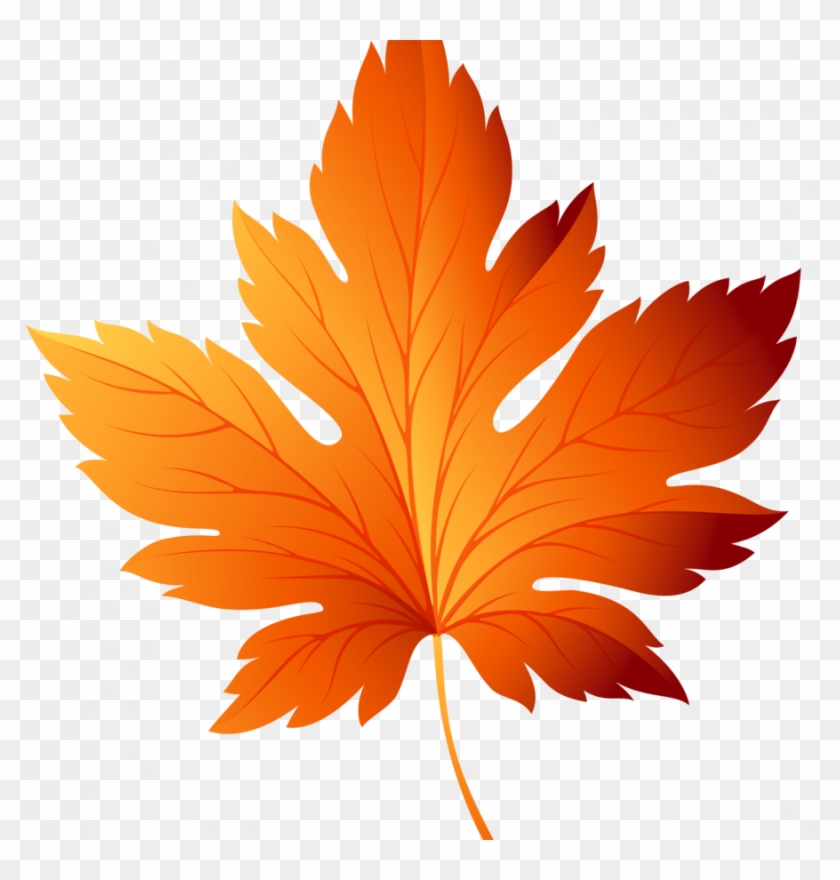 Vibrant orange and red autumn maple leaf with detailed veins on transparent background.