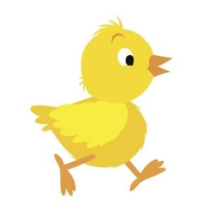 Cheerful yellow chick walking with one eye winking, cartoon-style illustration on white background.