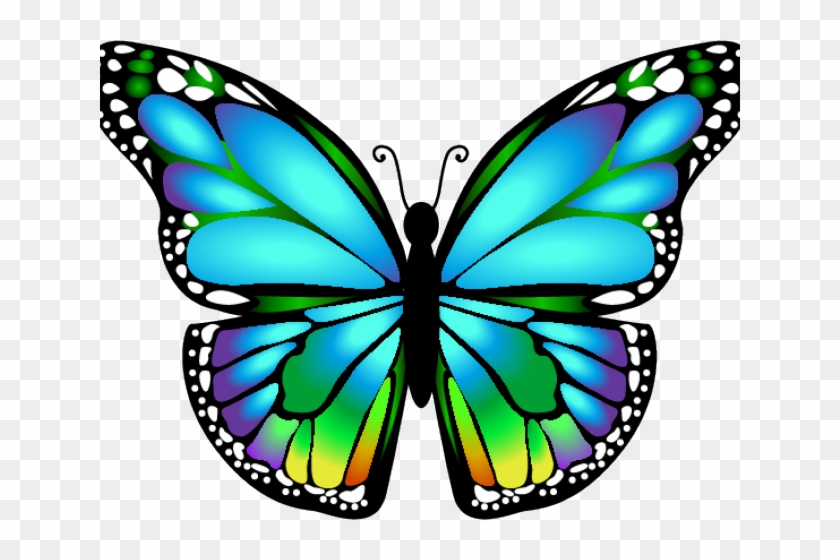 Colorful Butterfly Illustration - Free PNG Download for Design & Art Projects