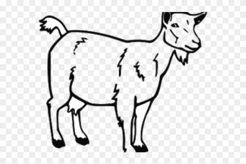 Simple black-and-white line drawing of a standing goat with short tail and beard.
