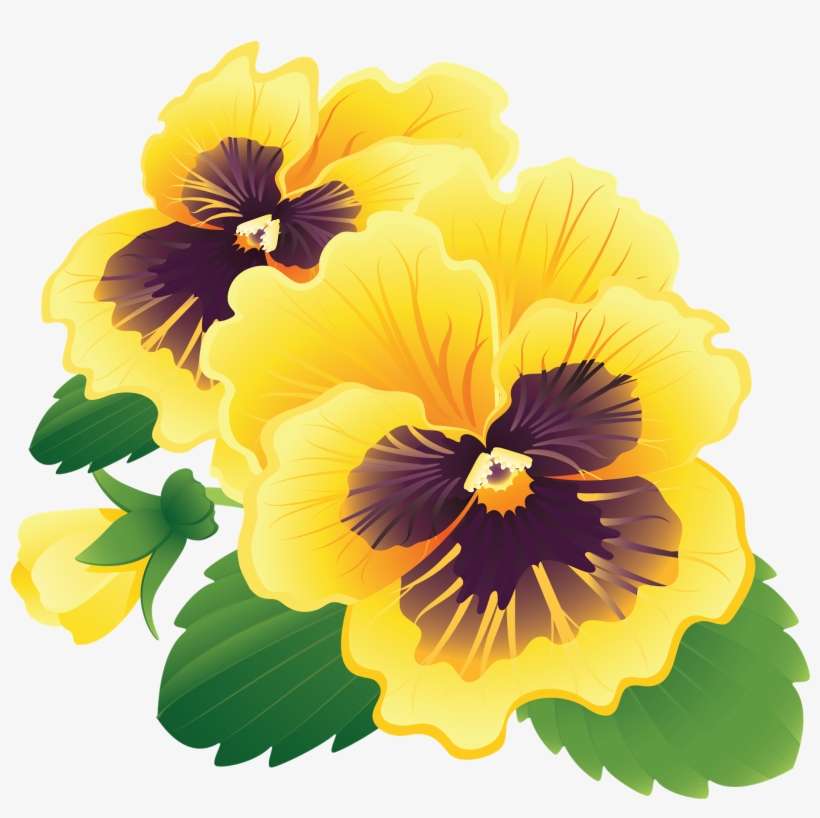 Pansy Flower Color Clip Art Design Vector Art At Vecteezy Clip Art Library