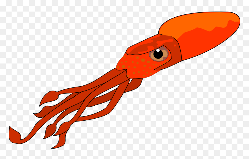 squids - Clip Art Library