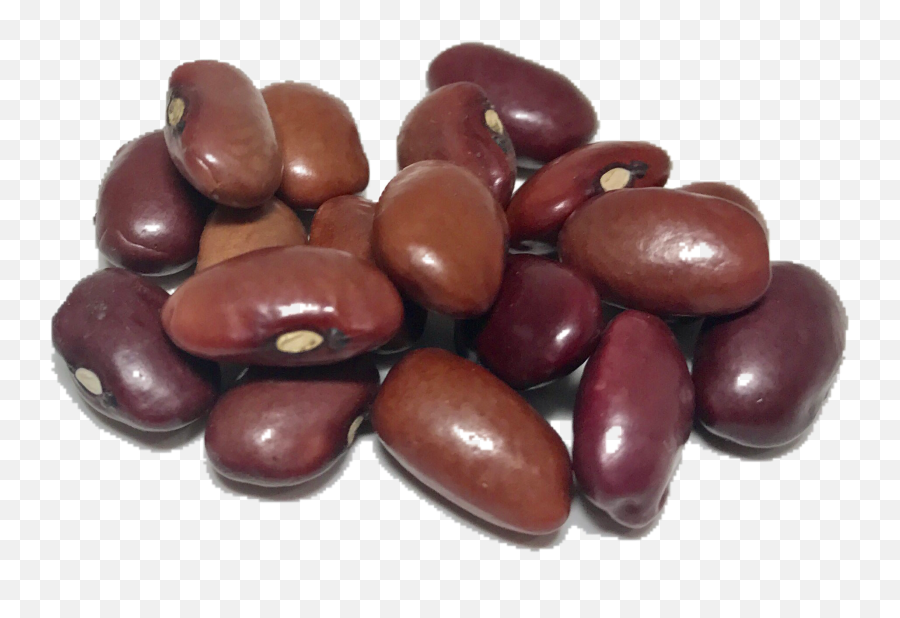 A pile of glossy red kidney beans on a transparent background, showing natural variation in size and color.