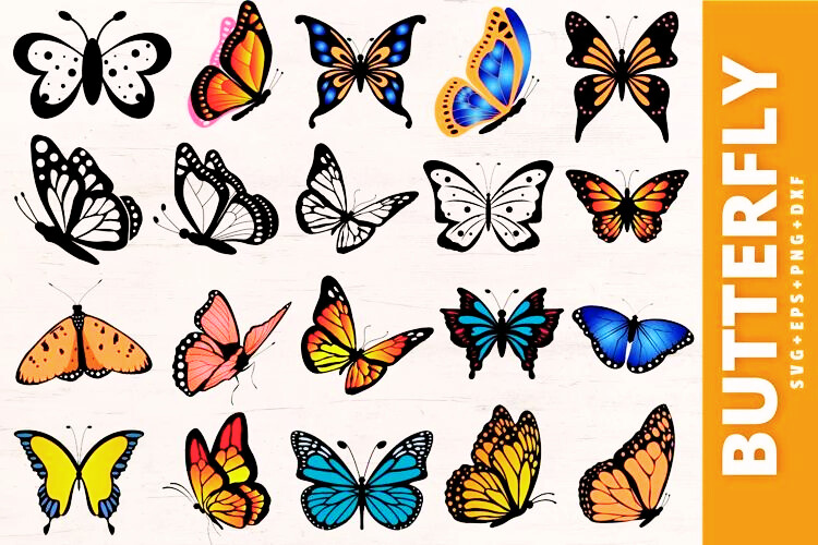 Collection of colorful and monochrome butterfly illustrations in various styles and poses.