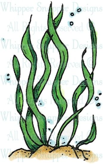 Hand-drawn green seaweed with bubbles rising from sandy ocean floor, stylized aquatic illustration.
